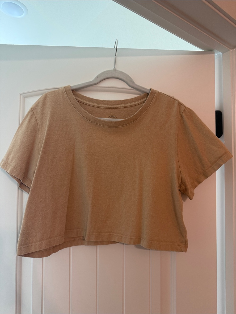Urban Outfitters Cropped Tee in Camel Beige